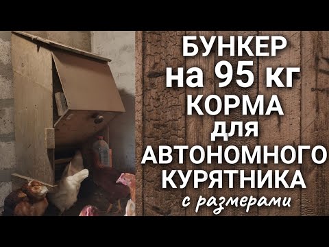 Видео: Бункерная кормушка для автономного курятника с размерами