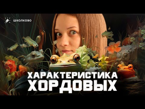 Видео: Все характеристики хордовых для ЕГЭ по биологии