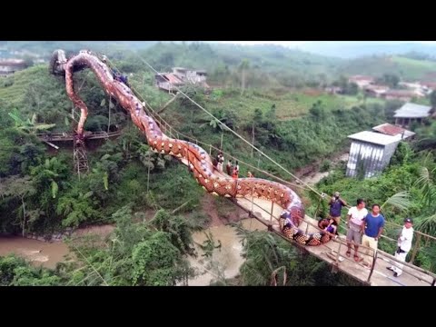 Видео: Анаконда Длинной в Километр! Это Самые Большие Животные Когда Либо Снятые на Камеру
