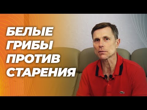 Видео: Эрготионеин-в белых грибах повышает спортивные результаты, улучшает функцию митохондрий.