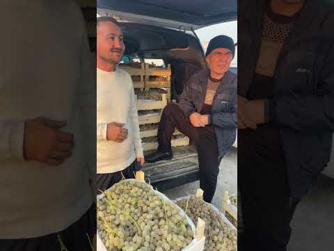 Видео: УЗУМ АРЗОН ЧОПА ЧОП БЎЛЯБДИ Кечки узум бозор