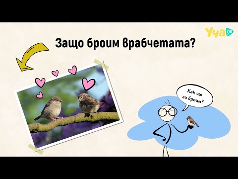 Видео: Защо броим врабчетата?