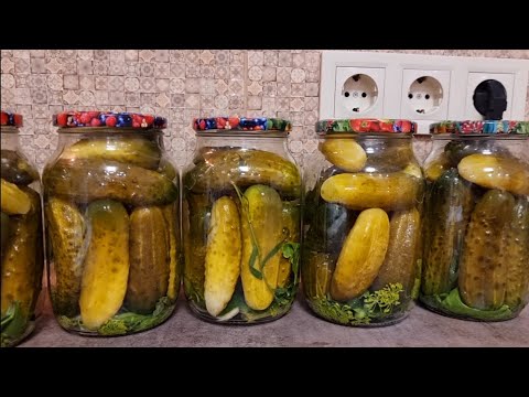 Видео: таких вкусных квашеных вы ещё не ели!