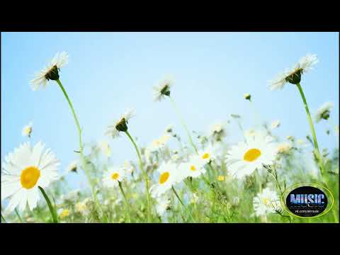 Видео: AlbretKroule -"Мы будем жить долго и счастливо"