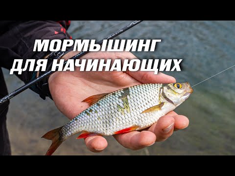 Видео: МОРМЫШИНГ. Как ловить? Для новичков.