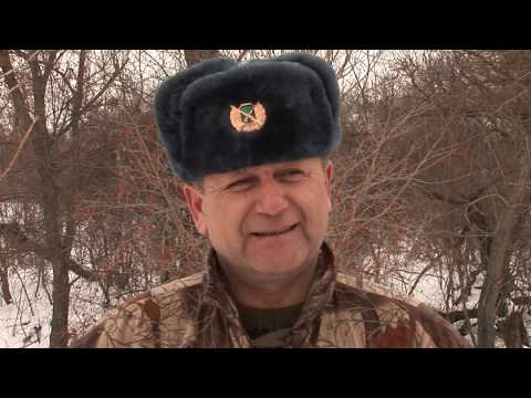 Видео: Отстрел волков