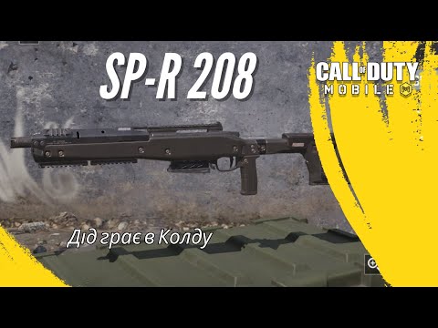 Видео: Дід іде в марксмени: на що здатна SP-R 208?