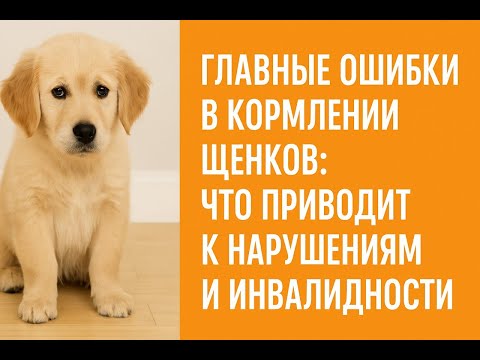 Видео: Недопустимые ошибки при кормлении щенков, приводящие к серьезным нарушениям и даже к инвалидности