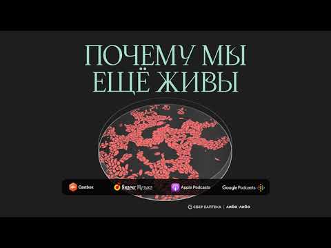 Видео: У нас замена: как научились пересаживать органы | Подкаст Почему мы ещё живы