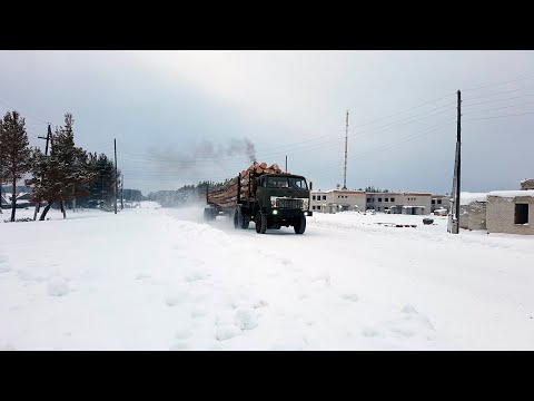 Видео: Вывозка леса в хлыстах. МАЗы-509А еще в строю. Валка леса ЛП-19, трелевка леса ЛП-18Г.