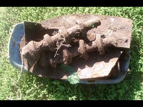 Видео: Цена на металл остановилась. Хорошие находки на краю леса.