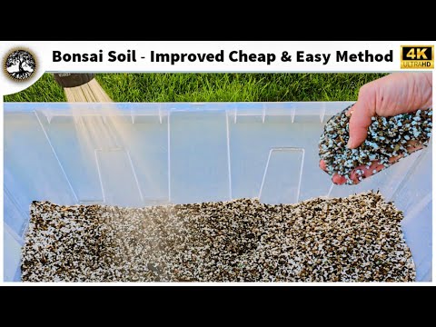 Видео: Почва для бонсай — улучшенный, дешевый и простой метод