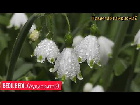 Видео: ЯТИМ (Повест)-Қисми 2