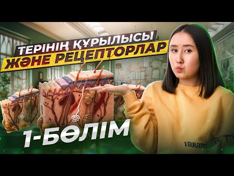 Видео: Терінің құрылысы және рецепторлар 1-бөлім | ҰБТ Биология