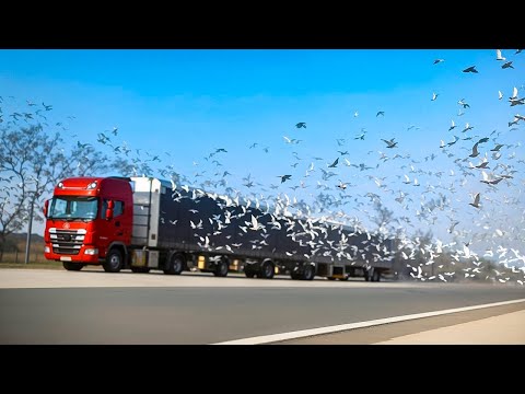 Видео: Невероятные Моменты, Снятые на Камеру