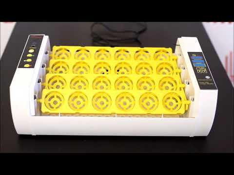 Видео: Инкубатор HHD 24  Обзор