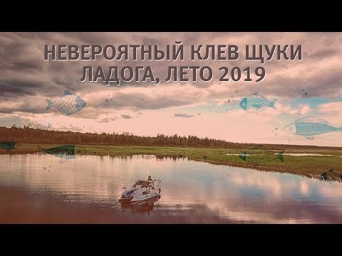 Видео: Невероятный клев щуки. Ладога, лето 2019.