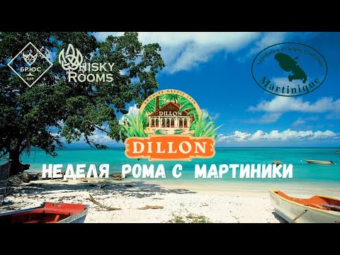 Видео: Большая дегустация ромов Dillon. День рождение Martinique AOC в Брюс Бар и WhiskyRooms #rumreviews