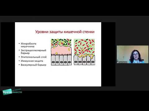 Видео: Интернет-конференция "Коморбидность в клинической практике. Синдром повышенной проницаемости..."