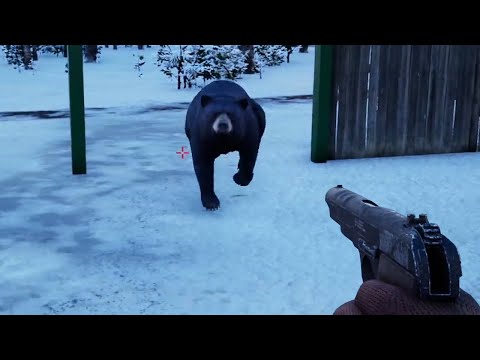 Видео: забрёл на территорию Михаила