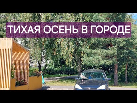 Видео: Один обычный день // Лирика и проза жизни // Подсолнухи,скидки на хозтовары,авральная работа //