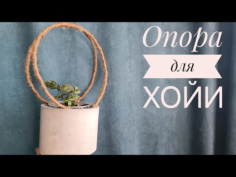 Видео: Опора для хойи. Хойя эскимо сильвер.