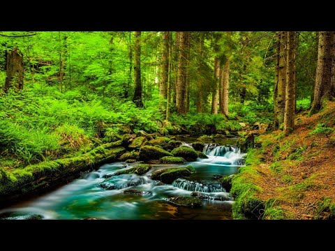 Видео: Расслабляющая музыка исцеляет сердце и кровеносные сосуды - успокаивающая музыка восстанавливает нер
