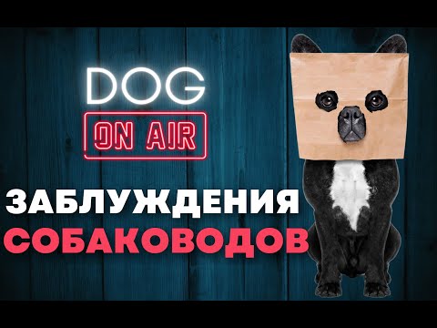 Видео: Рассказываю про заблуждения собаководов 🎙️ Какие утверждения ложные и самое главное почему? 🤔