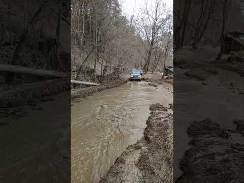 Видео: RANGE ROVER SPORT и TANK 300 штурмуют глубокую лужу.