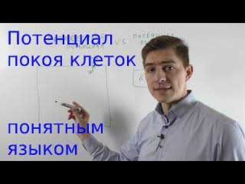 Видео: Потенциал покоя и равновесный потенциал