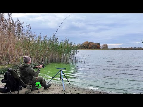 Видео: ТОПОВА СНАСТЬ ЗА КОПІЙКИ, яка косить рибу восени! Риболовля в жовтні