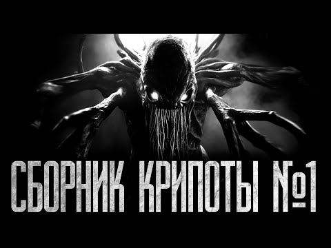Видео: СБОРНИК СТРАШНЫХ ИСТОРИЙ №1 ✝︎КРИПОТА✝︎ Страшные истории на ночь.Страшилки на ночь.
