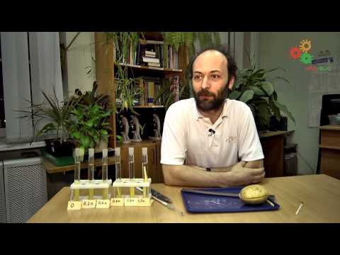Видео: Физиология растений. Изучение осмотических явлений (А. Доброчаев)