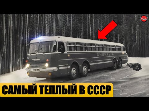 Видео: 5 САМЫХ ТЕПЛЫХ АВТОБУСОВ СССР.