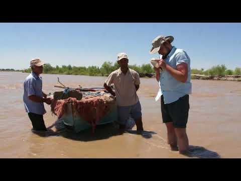 Видео: Биотопы амударьинских лопатоносов  Часть I Шарлаук