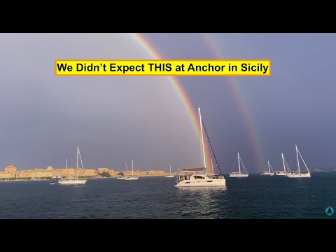 Видео: Мы не ожидали ТАКОГО, стоя на якоре на Сицилии! 🐬⛵ #TallShips #Dolphins