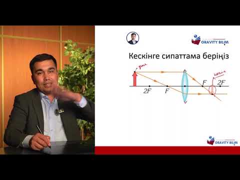 Видео: 9 ноября 2025 г.