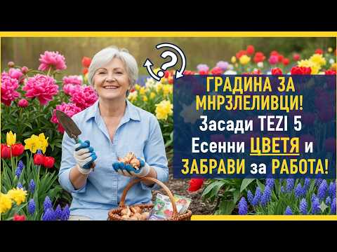 Видео: Градина за мързеливци: Засадете тези 5 многогодишни растения през октомври и забравете за работата