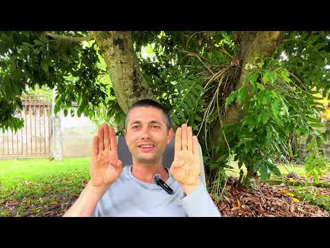 Видео: Что такое медитация? Как правильно медитировать? Как убрать все страдания?!