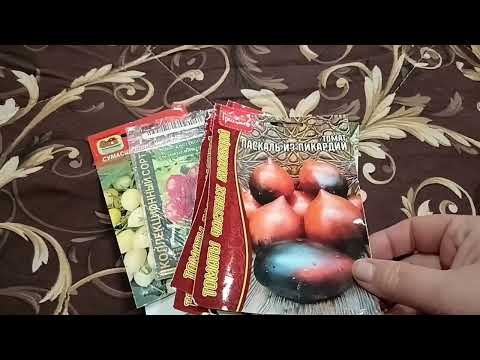 Видео: 🍁🍂🍁Вот и осень пришла 🍁🍂🍁. Немного о том, что посеяла🌺, и что выросло💐.
