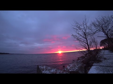 Видео: Чёрная речка. Рыбалка 19.11.23.