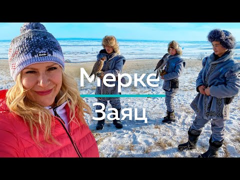 Видео: МЕРКЕ  - Охота с Беркутом и Как приготовить Зайца и Иримшик? / "А как там у них?" c Еленой Кукеле