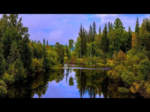 Видео: Западная Двина Даугава. История, Культура, География. Природа Реки. Western Dvina Daugava