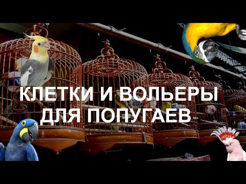 Видео: Всё про КЛЕТКИ и ВОЛЬЕРЫ ДЛЯ ПОПУГАЕВ