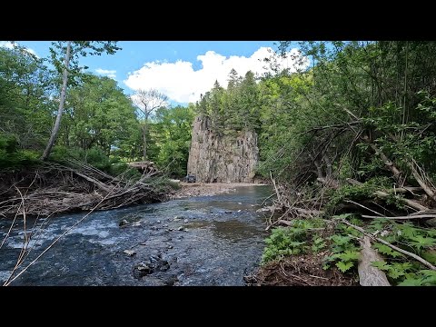 Видео: Приморский край. Река Илистая. Хариус.