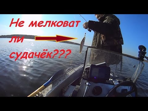 Видео: Ловим судака или нано судачка??? Белоярское вдхр. 14.10.2017Fisherpedia