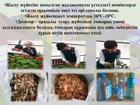 Видео: Лицей маңындағы жылыжай мен ғажайып бақ. Ғылыми жоба.