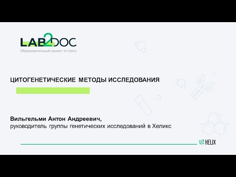 Видео: ЦИТОГЕНЕТИЧЕСКИЕ МЕТОДЫ ИССЛЕДОВАНИЯ