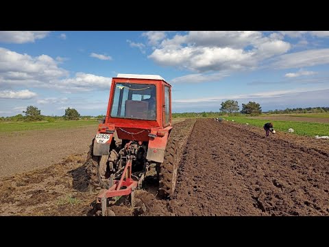 Видео: З такою БРИГАДОЮ і САЖАЛКА не потрібна! Т25 в роботі!