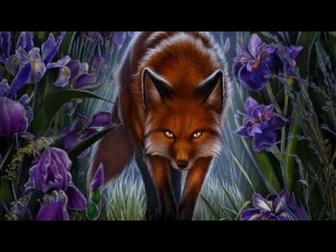 Видео: Легенда Ивы 4 сезон 10 серия (Путь холода, Янтарная лиса, Кадзу)